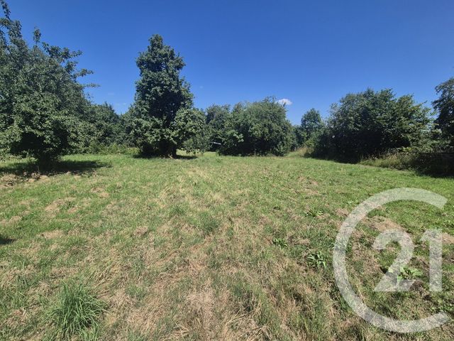 maison à vendre - 3 pièces - 70.0 m2 - LONLAY L ABBAYE - 61 - BASSE-NORMANDIE - Century 21 Agence Pays D'Andaines