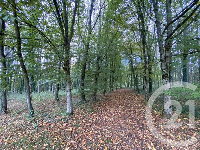 maison à vendre - 4 pièces - 65.44 m2 - DOMPIERRE - 61 - BASSE-NORMANDIE - Century 21 Agence Pays D'Andaines