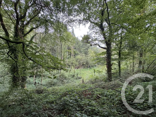 maison à vendre - 4 pièces - 65.44 m2 - DOMPIERRE - 61 - BASSE-NORMANDIE - Century 21 Agence Pays D'Andaines