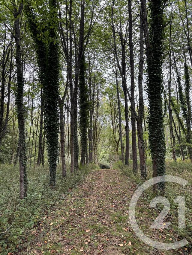 maison à vendre - 4 pièces - 65.44 m2 - DOMPIERRE - 61 - BASSE-NORMANDIE - Century 21 Agence Pays D'Andaines