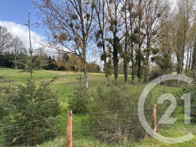 maison à vendre - 5 pièces - 125.76 m2 - RIVES D ANDAINE - 61 - BASSE-NORMANDIE - Century 21 Agence Pays D'Andaines