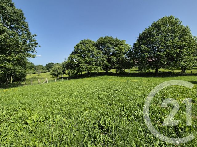 maison à vendre - 4 pièces - 111.26 m2 - LA FERTE MACE - 61 - BASSE-NORMANDIE - Century 21 Agence Pays D'Andaines
