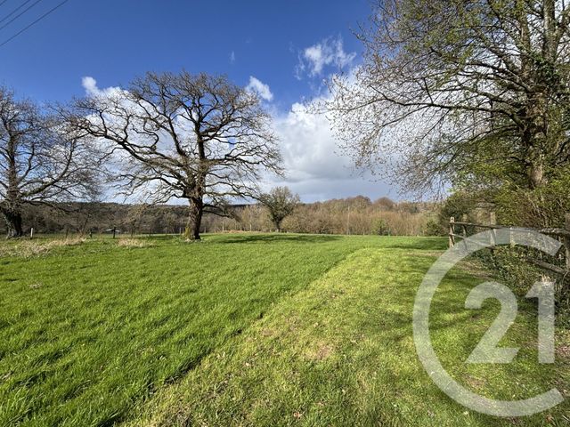 maison à vendre - 7 pièces - 160.59 m2 - LES MONTS D ANDAINE - 61 - BASSE-NORMANDIE - Century 21 Agence Pays D'Andaines