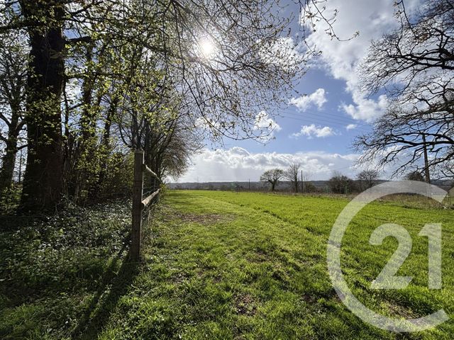 maison à vendre - 7 pièces - 160.59 m2 - LES MONTS D ANDAINE - 61 - BASSE-NORMANDIE - Century 21 Agence Pays D'Andaines