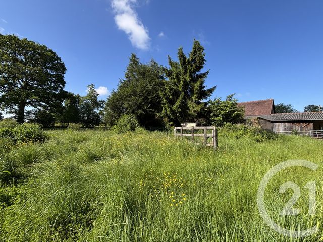 maison à vendre - 8 pièces - 211.0 m2 - CEAUCE - 61 - BASSE-NORMANDIE - Century 21 Agence Pays D'Andaines
