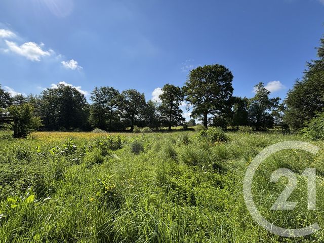 maison à vendre - 8 pièces - 211.0 m2 - CEAUCE - 61 - BASSE-NORMANDIE - Century 21 Agence Pays D'Andaines