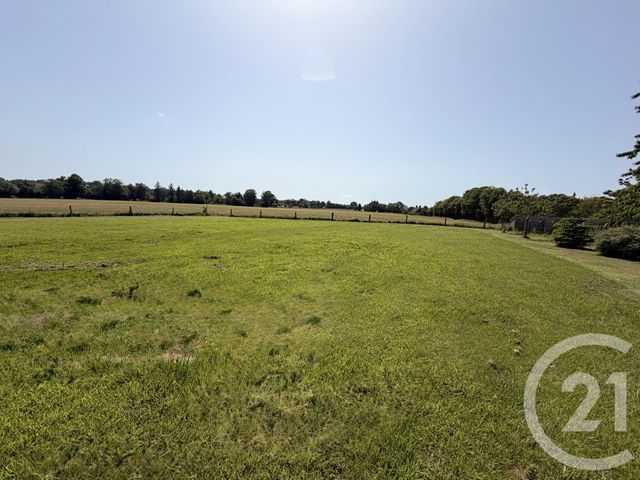 maison à vendre - 5 pièces - 125.0 m2 - CHAMPSECRET - 61 - BASSE-NORMANDIE - Century 21 Agence Pays D'Andaines
