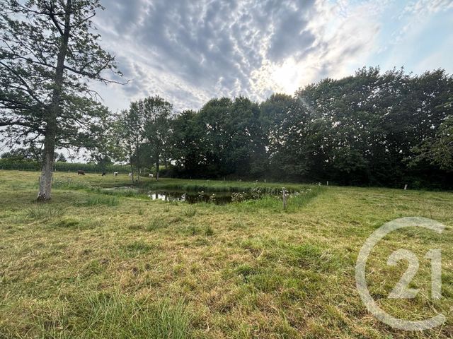 maison à vendre - 2 pièces - 55.0 m2 - DOMFRONT EN POIRAIE - 61 - BASSE-NORMANDIE - Century 21 Agence Pays D'Andaines